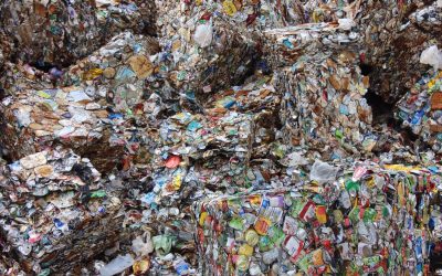 Wairarapa Waste Minismisation – Have your say!