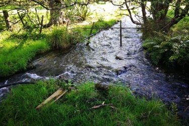 Important Notice – Water Race restrictions