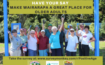 Positive Ageing Strategy