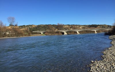 Ruamahanga River awarded for having the third most improved water quality in NZ