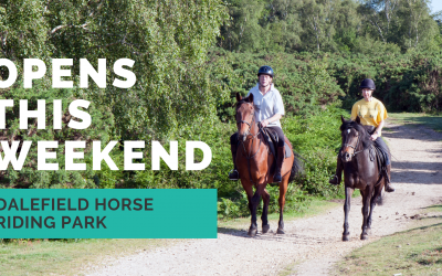 Carterton’s Dalefield Horse Riding Park to open this weekend