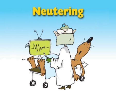 Neurering