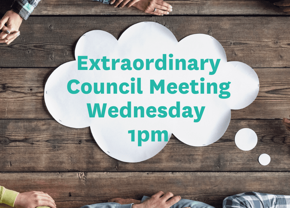 Infrastructure & Services Committee Meeting 8.30am Policy & Strategy Committee Meeting 11am (1)