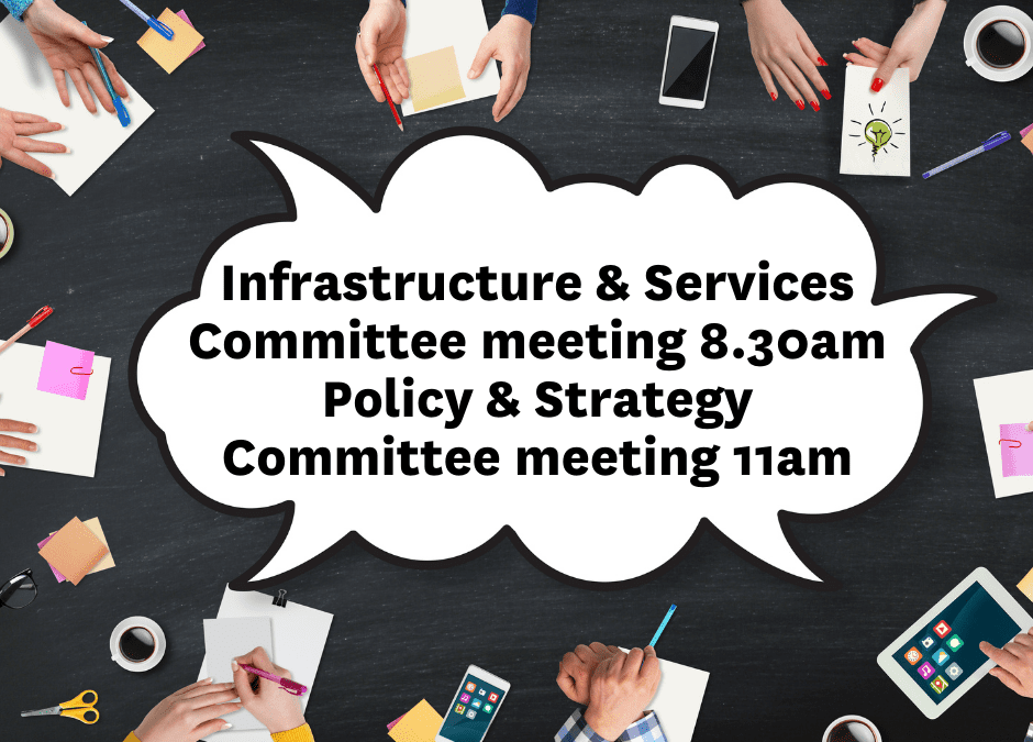 Infrastructure & Services Committee Meeting 8.30am Policy & Strategy Committee Meeting 11am (3)