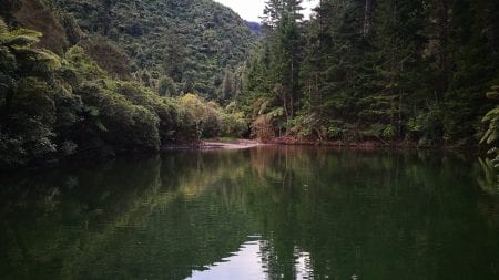 Kaipatangata stream