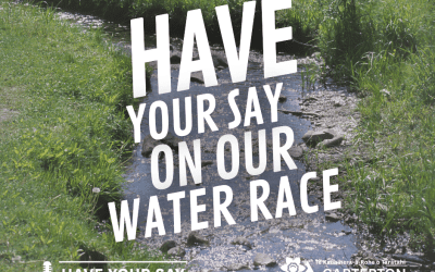 CLOSED: We want your feedback on our Water Race system
