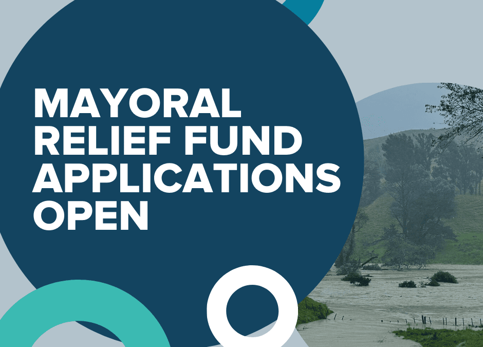 Mayoral Relief Funding reaching applicants fast