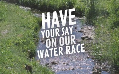 Water Race Committee Elections 2024 open to 9 September