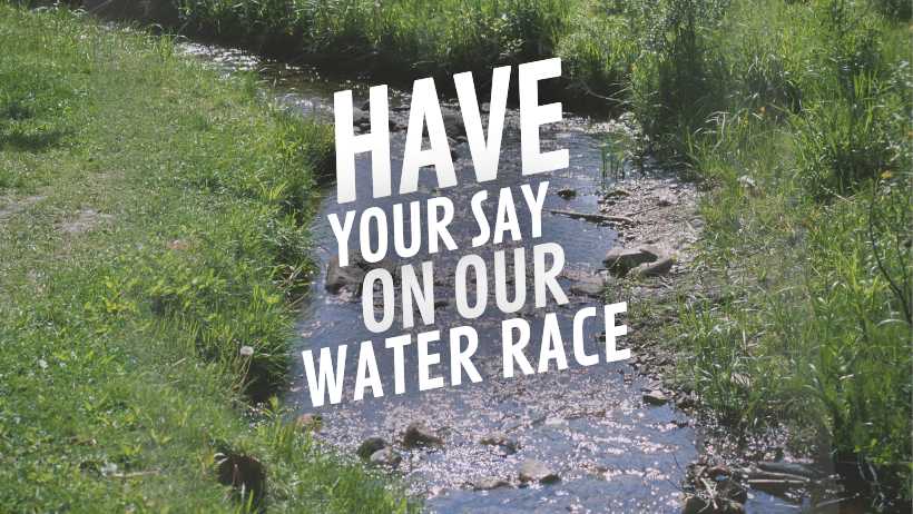 Water Race Committee Elections 2024 open to 9 September