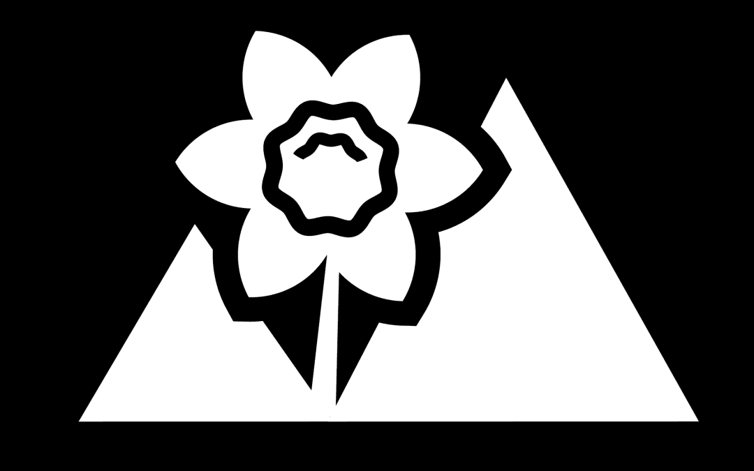 CDC logo emblem only 2022 white on black