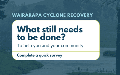 Cyclone recovery ongoing needs survey