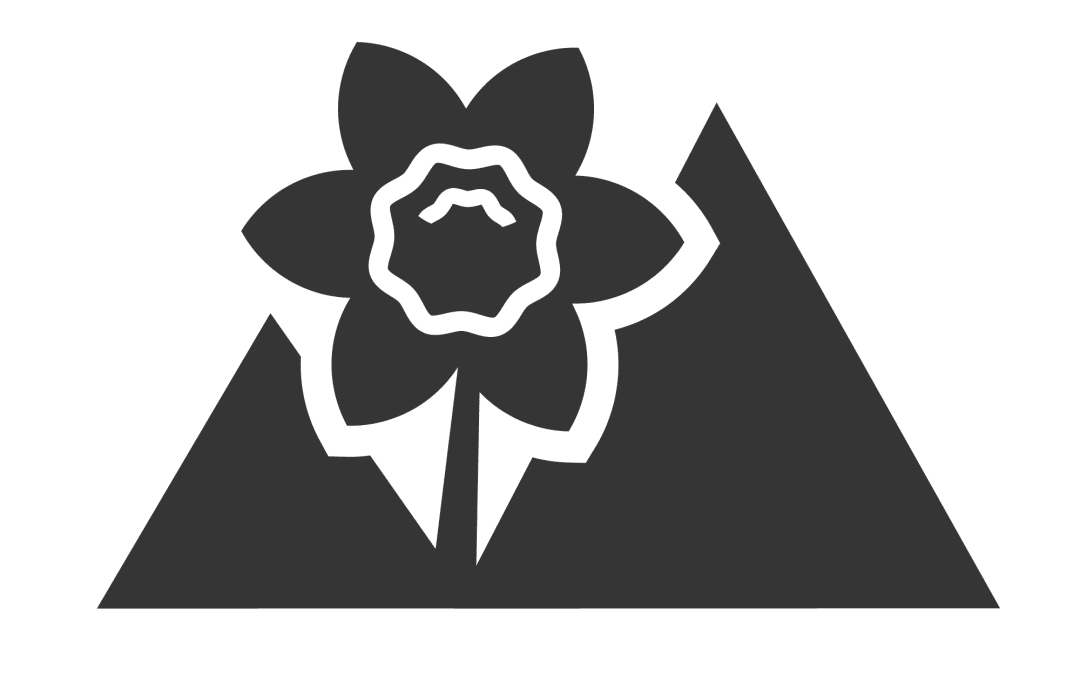 CDC logo emblem only 2022 grey on transparent