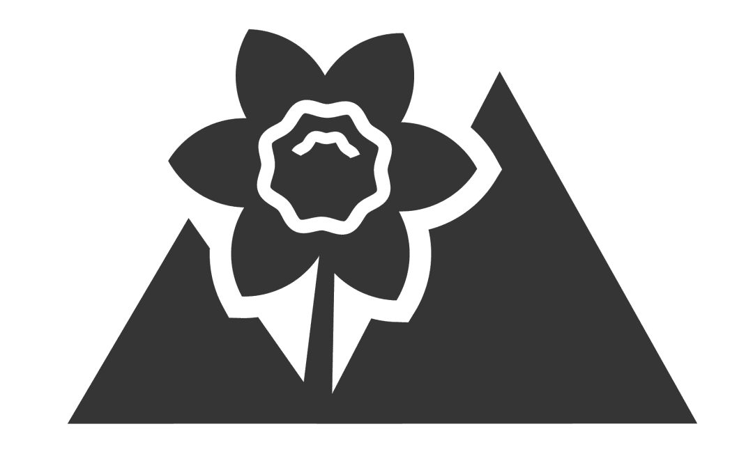 CDC logo emblem only 2022 grey on white