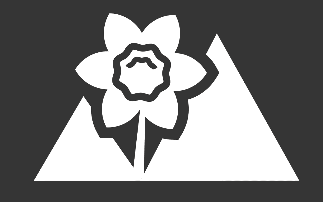 CDC logo emblem only 2022 white on grey