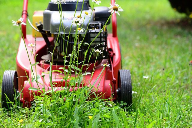 Mulch the lawn