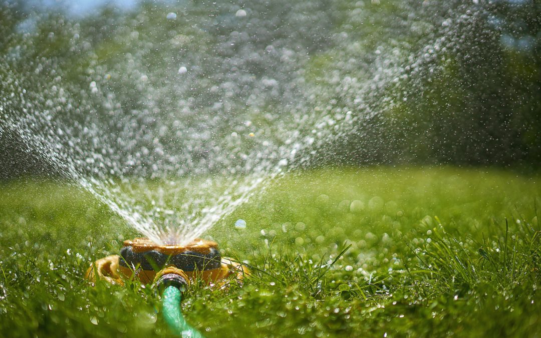 Water levels: Sprinklers on alternate days only in Carterton water network