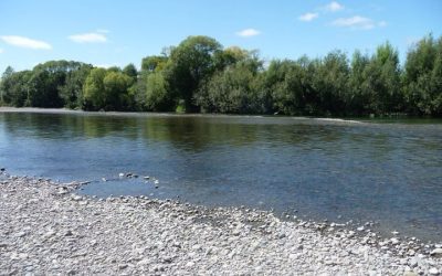 Toxic Algae Warning – Ruamāhanga River