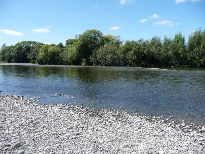 Toxic Algae Warning – Ruamāhanga River