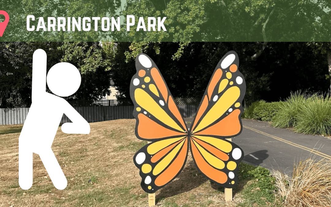 Parks Week 2025 – Explore, take photos & be in to WIN!