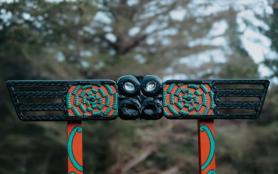 New Tomokanga Unveiled at Ngā Tāwhai Reserve