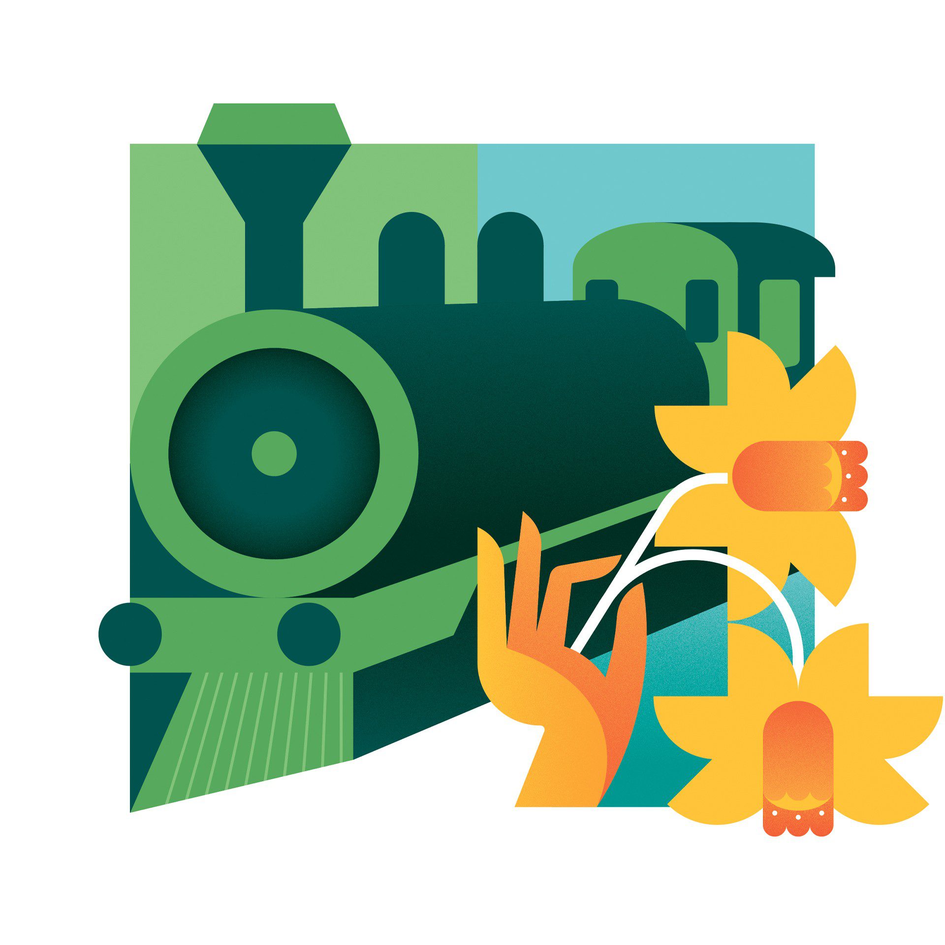 Daffodil 1920px x 1920px