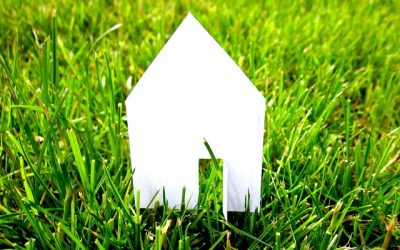 Building & Planning Newsletter, January 2026