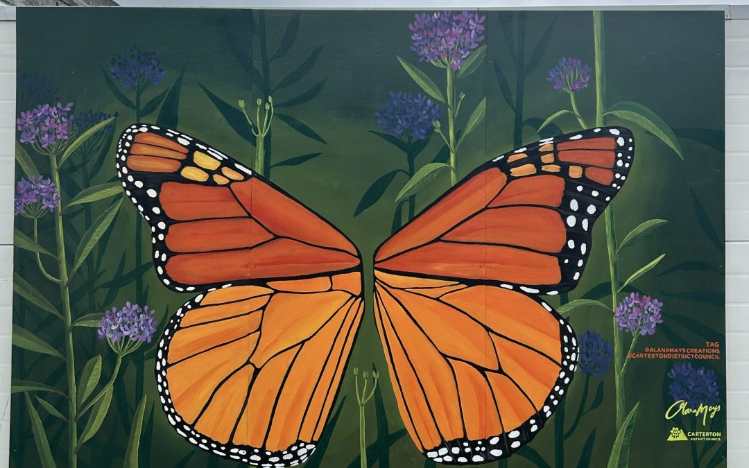 Supporting Local Creative Projects | Funding Applications Open Now