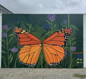 20260326_004252643_iOS 20260326 004252643 iOS