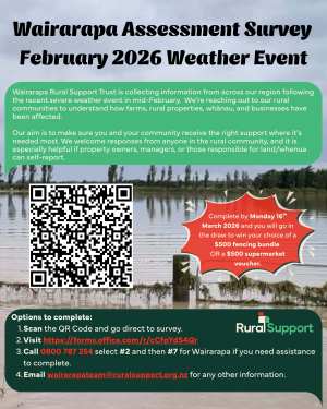 Assessment Survey Flyer (long text)